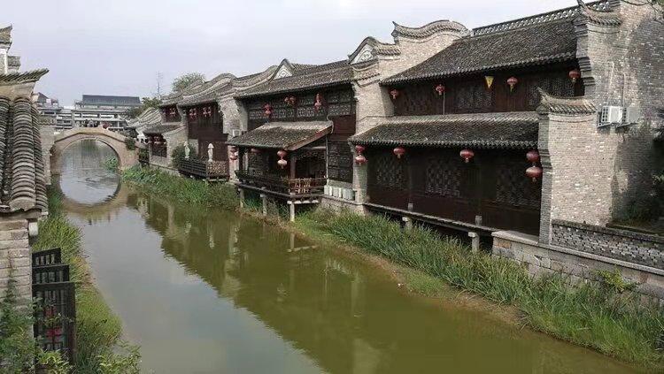 小乌龟逃亡记